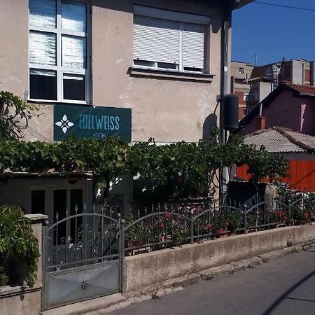 Edelweiss Hostel Stip Bagian luar foto