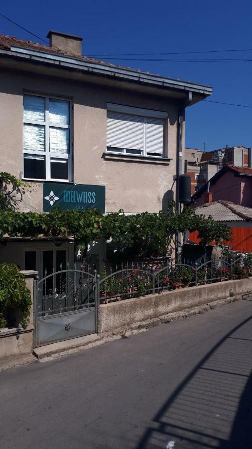 Edelweiss Hostel Stip Bagian luar foto